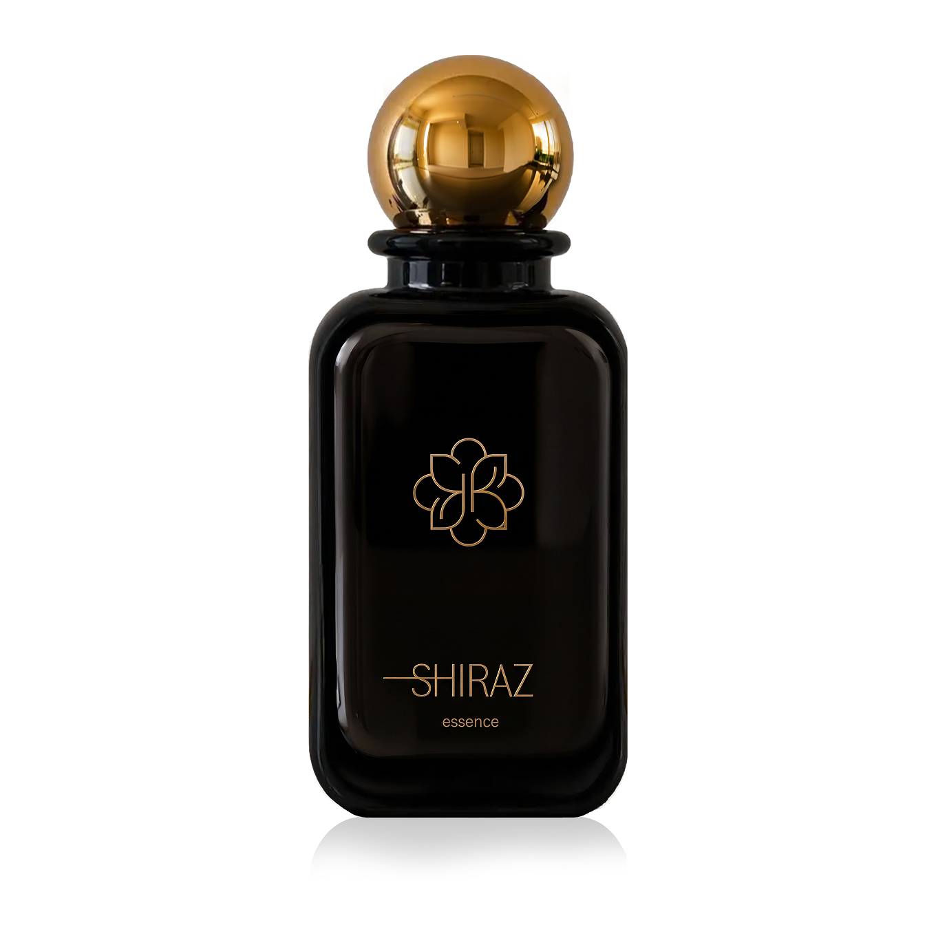 01 Shiraz 50 ml