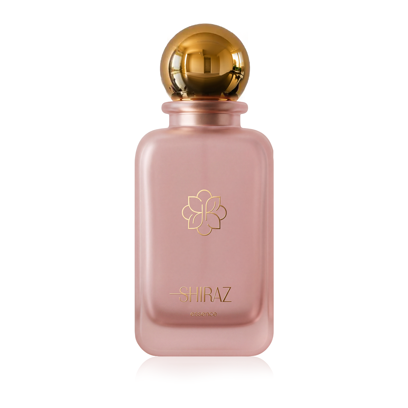 13 Shiraz 50 ml